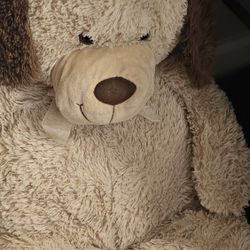 Teddy Bear Bundle 