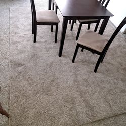 Carpet 8x10 Plush! Tan/Brown. Excellent  Shape!