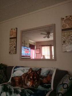 Home