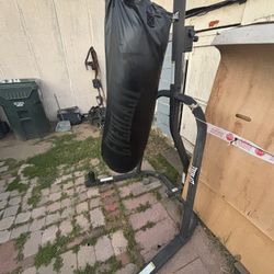 Everlast Punching Bag