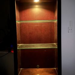 Bookshelf/display Shelf