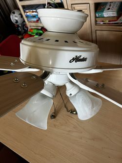 Hunter Ceiling Fans (2 total)