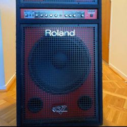 300 Watt Roland Drum Monitor PA System.