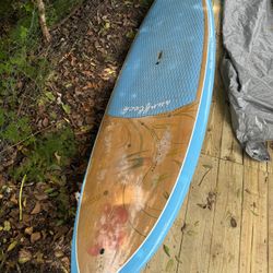 PADDLEBOARD FOR SALE!