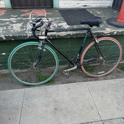 Schwinn World Sport  Bike