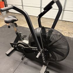 Rogue Echo Bike