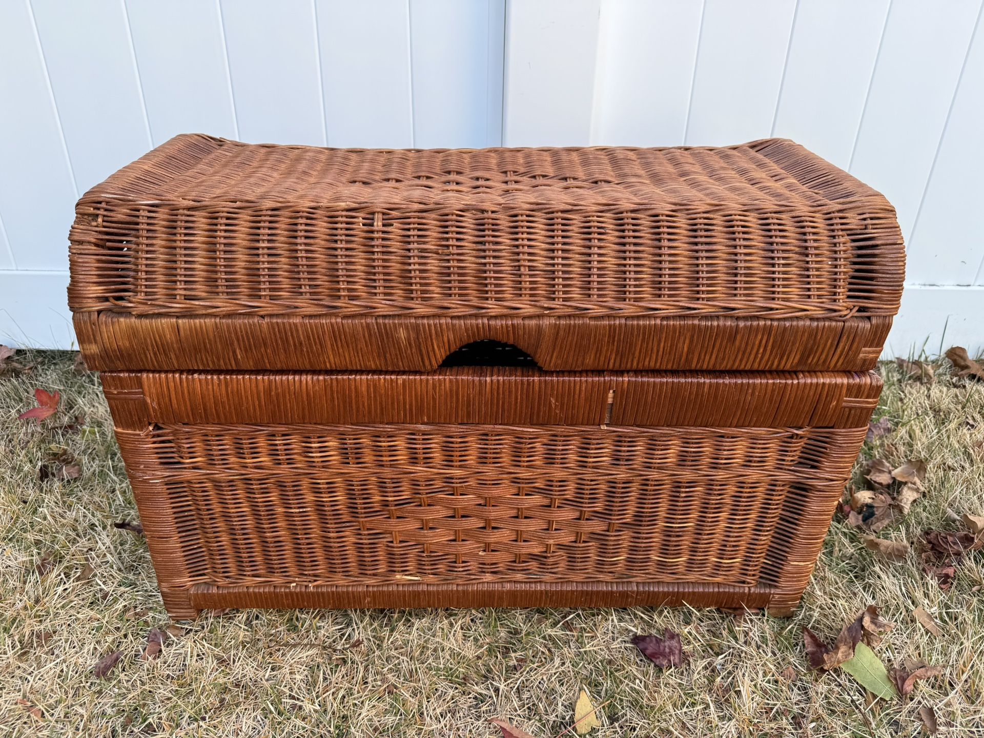 Wicker storage box