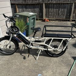 Rad Power Bike radwagon 4 (new)