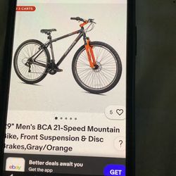 Stolen Mens BCA Mountain Bike 29” - Niagara Falls, N.Y.