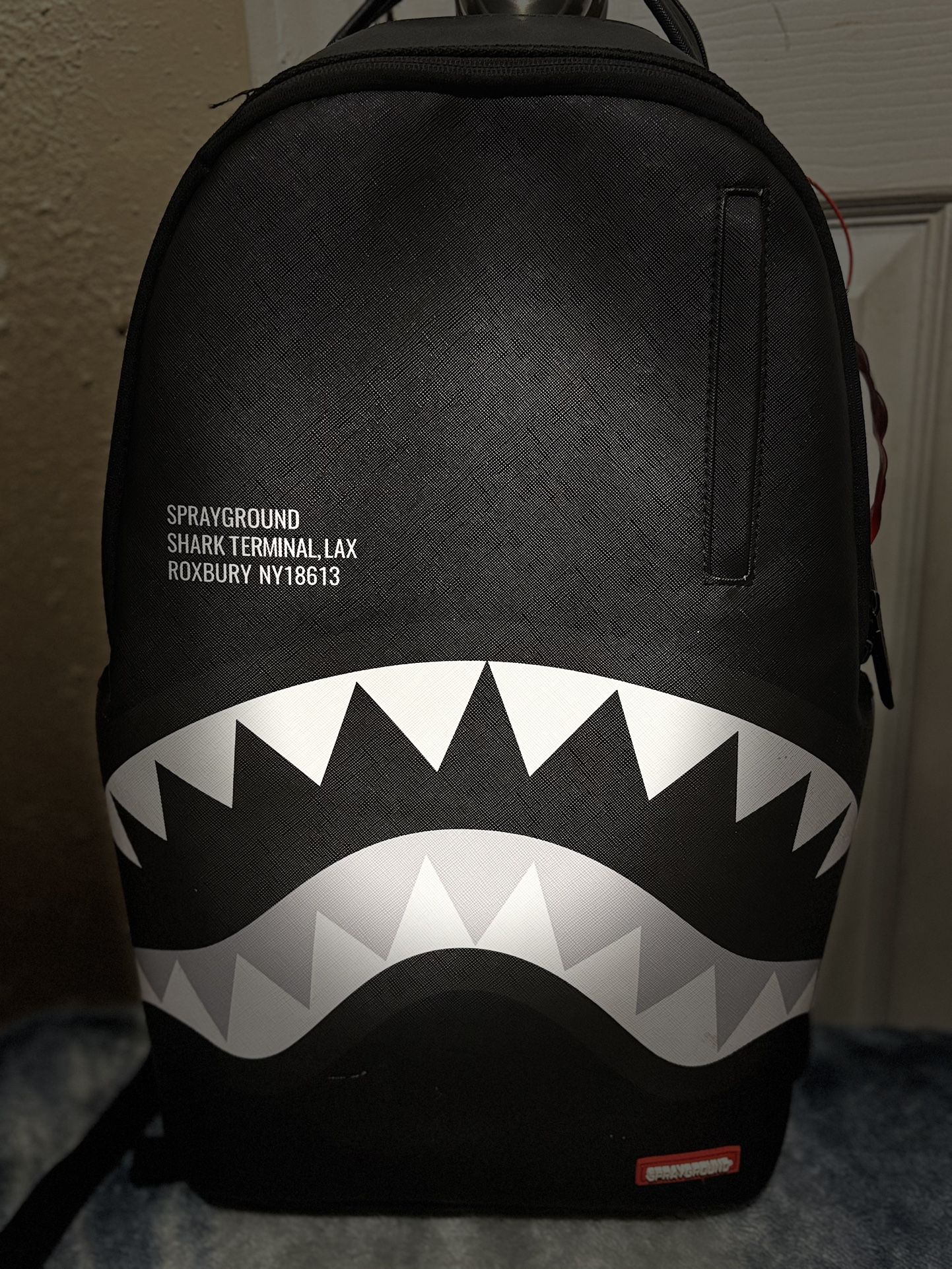 Spray Ground Back Pack