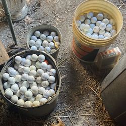 12 Golf Balls For 10 Dollars