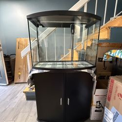 Fish Tank, Turtle Tank 