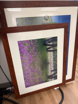 Set of 2 Framed Texas Wildflower Prints