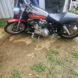08 Harley Davidson 1200 Custom