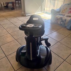 Electic Go Kart 2 In 1