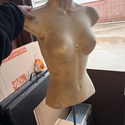 Half mannequin with stand