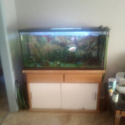 75galon Fish Tank  With All The Equipment Pumps Filters Etc.