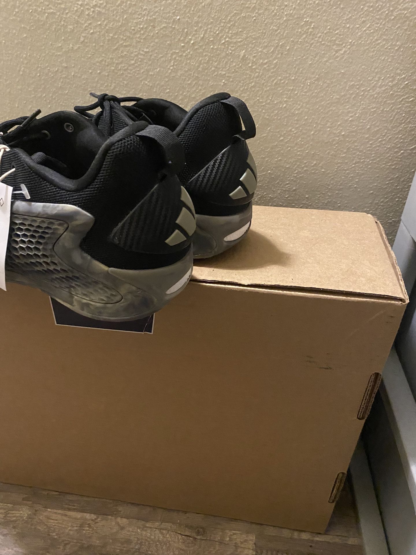 Anthony Edward’s Size 13.5