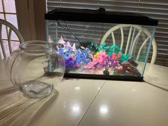 10 gallon Aquarium
