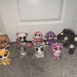 Beanie Boo Plush Collection 
