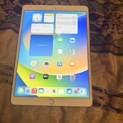 iPad Air 3 10.2 Inch Screen (like New ) 