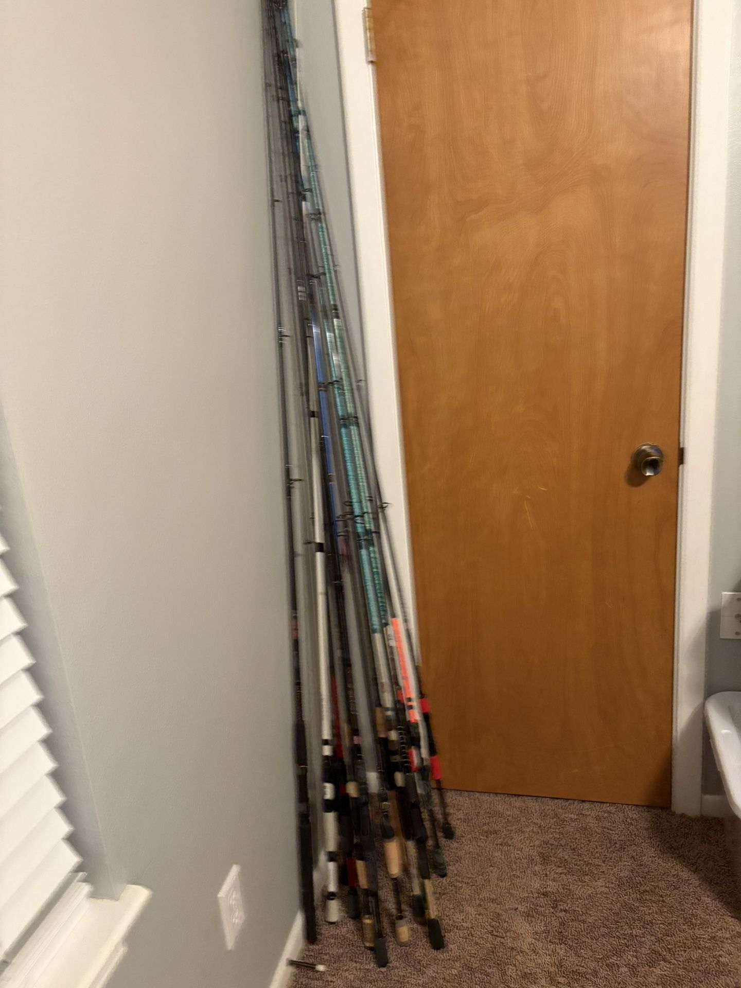 Fishing Rods