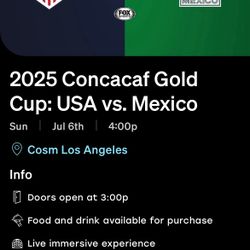 Mexico vs USA Gold Cup Final 