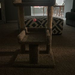 Cat Tree
