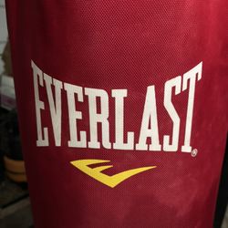70 Pound Elite Everlast, Heavy Duty Punching Bag Ceiling Mount