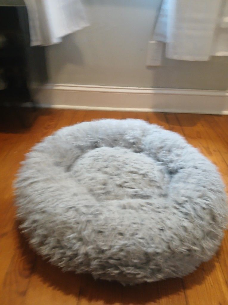 Puppy Dog Bed
