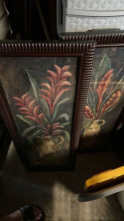 Framed pictures
