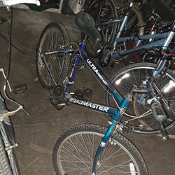 21 Inch Roadmaster 
