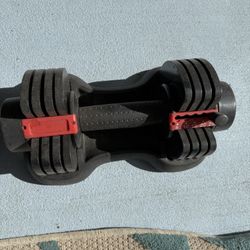 Adjustable Weights 