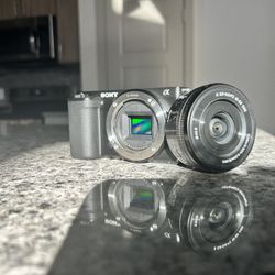 ZVE10 With FOV monitor 