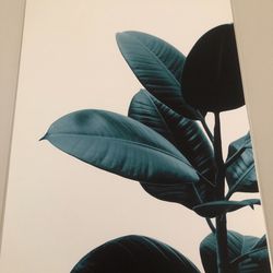 Desenio Green Plant Art Poster With Frame