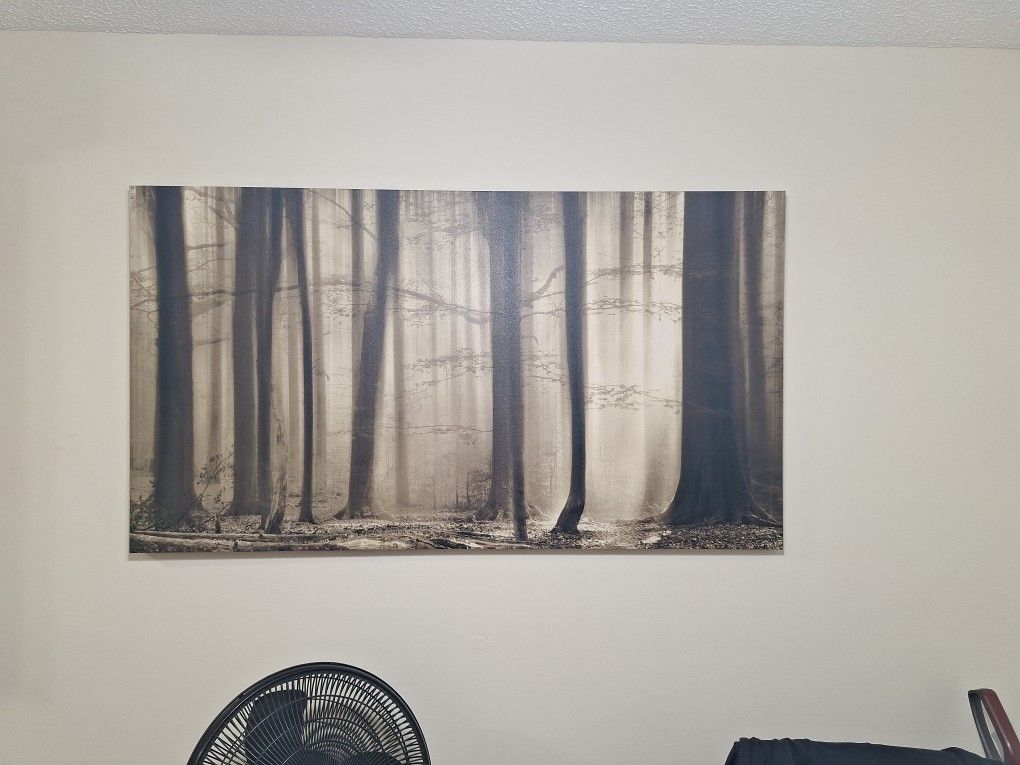 2 Wilderness Pictures