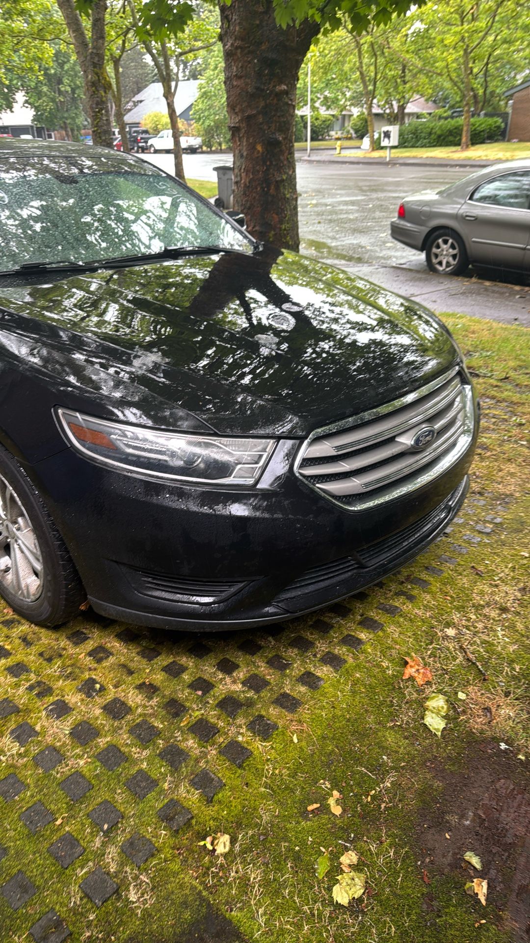 2019 Ford Taurus