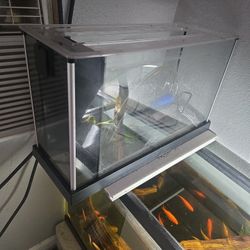 Fish Tank No Need For It. And I'll Throw In Heater