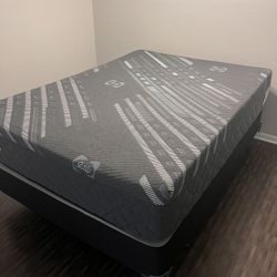 Sealy Full/double Mattress & Boxspring