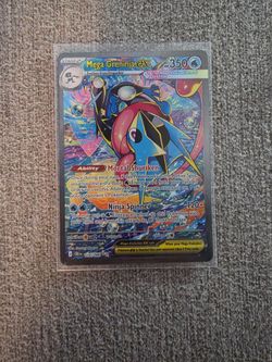 SIR greninja