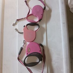 Dog Leashes 