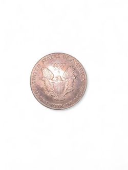 1991 1.0 fine silver dollar