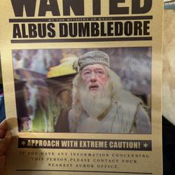 3D Harry Potter Movie Poster 