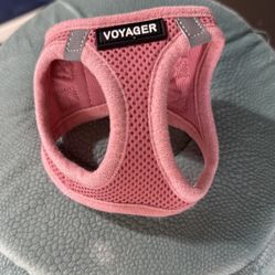 XXXS Dog Harness