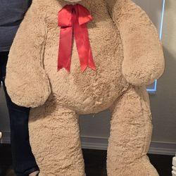 Free Xxl Teddy Bear