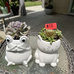 Teacher Appreciation Gifts