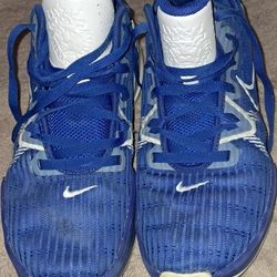 Nike Lebron Witness VI 6 TB Game Royal Blue & White Mens Basketball DO9843-401 Size 9, in good condition