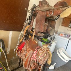 Horse Saddle ,in Good Condition Sale With Stand 