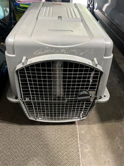 Petmate Sky Dog & Cat Kennel, Gray, 36-in, 50-70-lbs
