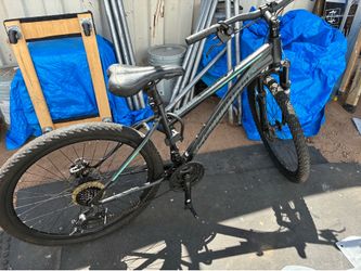 Schwinn 21 speed mountain bike